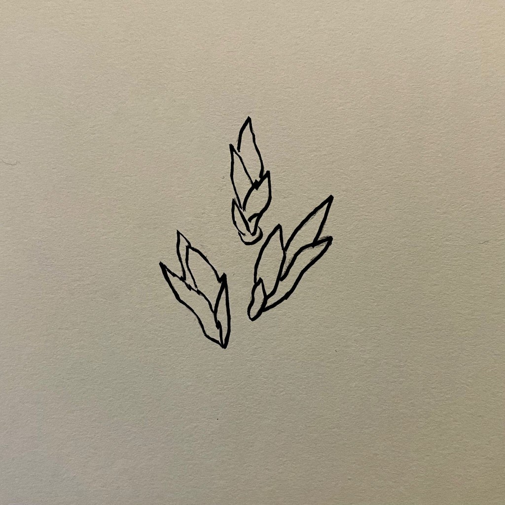 Breve storia di un&nbsp;disegno.